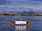 South Luangwa National Park  Dinner in the Kapamba River  Zambia