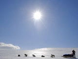Troms  Lyngen Alps  Travel over the Mountains of the Lyngen Alps Via Dog Sled  Norway