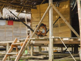 Amazon  Amazon River  the Floating Village of Belen  Iquitos  Peru