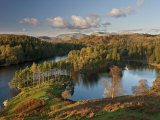 Autumn Colours at Tarn Hows Nearr Hawkshead  Lake District  Cumbria  England