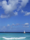 Carlisle Bay  Barbados  Caribbean