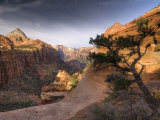 Utah  Zion National Park  from Canyon Overlook  USA