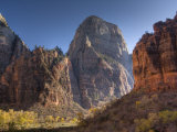 Utah  Zion National Park  the Great White Throne  USA