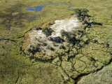 Aerial Photograph of the Okavango Delta