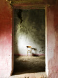 Chair in a Deserted Farm Near San Quirico D'Orcia  Valle De Orcia  Tuscany  Italy
