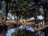 South Luangwa National Park  Shenton Safaris  Group on Guided Walk Stop at a Sunlit Lagoon  Zambia