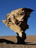 Arbol De Piedra or Stone Tree Is a Massive Wind-Eroded Boulder  8 Metres High That Rises Above the 