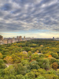 Central Park  Manhattan  New York City  USA