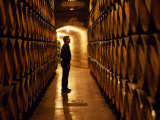 Foreman of Works Inspects Barrels of Rioja Wine in the Underground Cellars at Muga Winery