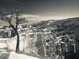 Utah  Bryce Canyon National Park  Bryce Amphitheater Between Sunrise and Sunset Points  USA