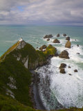Nugget Point  Catlins  South Island  New Zealand