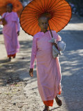 Buddhist Nuns with Bamboo-Framed Orange Umbrellas Walk Through Streets of Sittwe  Burma  Myanmar