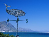 Weathervane in the Shape of a Whale on a House Overlooking Walker Bay