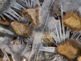 Scottish Highlands  Glencoe  Frozen Rocks in a Riverbed Below the Buachaille Etive Mor  Scotland