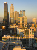 California  Los Angeles  Aerial View of Downtown from West 11th Street  Sunset  USA