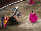 Crowds at a Stadium for a Bullfight  Quito  Ecuador