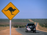 Kangaroo Road Sign  Western Australia  Australia