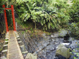 County Maolin Rope Bridge  Taiwan