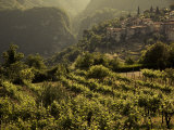 Lombardy  Lake District  Lake Garda  Tremosine Plateau  Sermerio  Vineyards  Italy