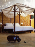 The White Pavilion Tents and Crisp Minimalist Style of Sausage Tree Camp  Zambia