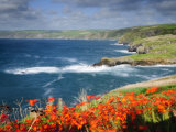 England  Cornwall  Port Isaac  UK