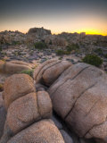 California  Joshua Tree National Park  USA