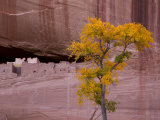 Arizona  Canyon De Chelly National Monument  USA