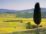 Landscale Near Pienza  Val D' Orcia  Tuscany  Italy