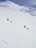 Climbers on Mount Mckinley  Alaska  USA