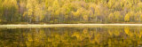Autumn Reflections  Cairngorms National Park  Highlands  Scotland  UK