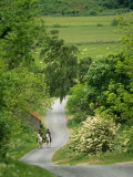 Northumberland  Harbottle  Horseriding Along a Country Lane  England