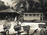 Seychelles  La Digue Island  L'Union Estate Plantation  Anse Source D'Argent Beach