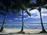 Palms and Hammock  Akitua Motu  Aitutaki  Cook Islands