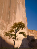 Arizona  Canyon De Chelly National Monument  USA