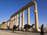 Spectacular Ruined City of Palmyra  Syria