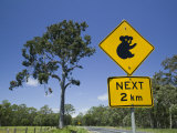 Queensland  Fraser Coast  Maryborough  Koala Crossing Sign on the Bruce Highway  Australia