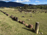 Ancient Observatory of the Muisca Built by Pre-Columbian Indigenous People  Near Villa De Leyva
