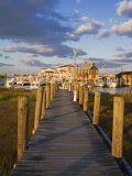 Cape May Harbor  Cape May County  New Jersey  United States of America  North America