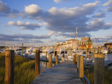 Cape May Harbor  Cape May County  New Jersey  United States of America  North America