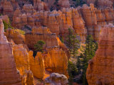 Utah  Bryce Canyon National Park  Near Sunset Point  USA