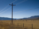 Colorado  Near Granby  Farmland  USA