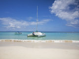 Bay Islands  Roatan  West Bay  Man Reading Book on Catamaran  Honduras