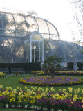 Palm House  Royal Botanic Gardens  Kew  Greater London