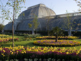 Palm House  Royal Botanic Gardens  Kew  Surrey