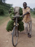 Bananas are Grown Everywhere in Uganda