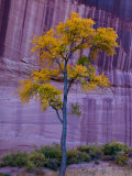 Arizona  Canyon De Chelly National Monument  USA