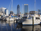 Boat Marina  Jacksonville  Florida  United States of America  North America