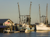 Lazaretto Creek Fishing Port  Tybee Island  Savannah  Georgia