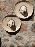 Cowboy Hats  Patzcuaro  Michoacan State  Mexico  North America