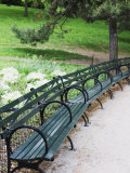 Benches  Central Park  Manhattan